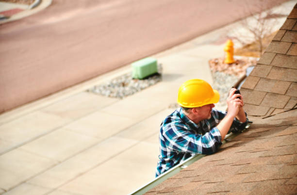 Best Roof Moss and Algae Removal  in Port Gibson, MS